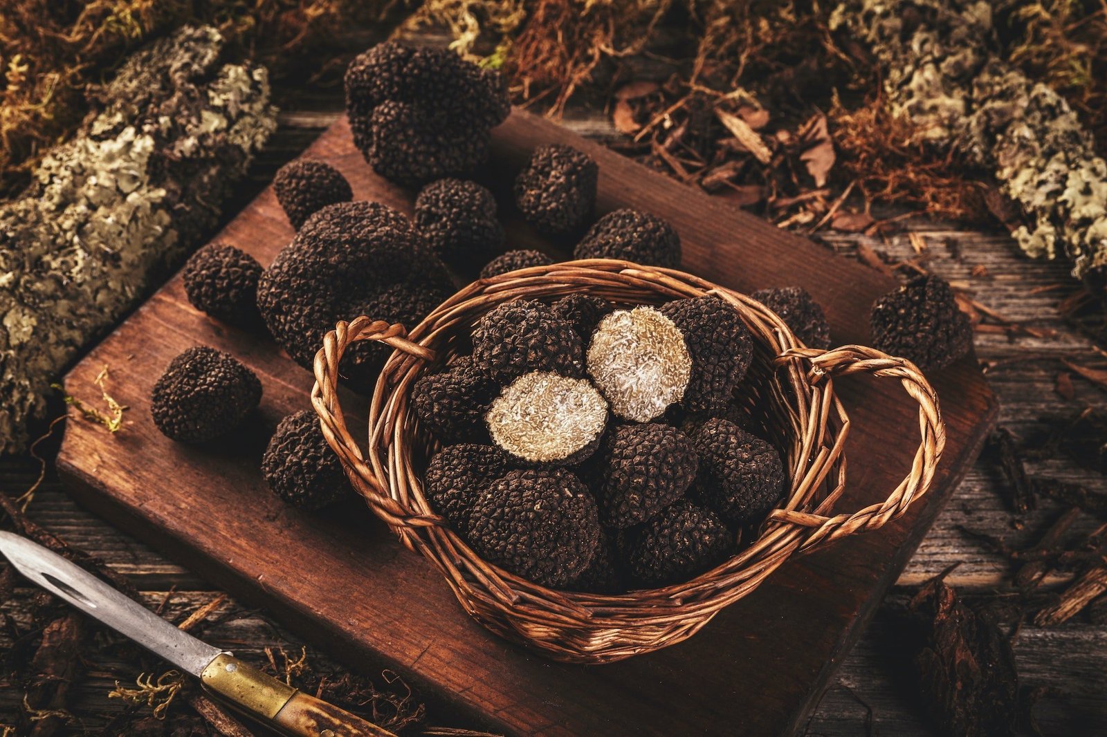 black-truffle-mushrooms.jpg