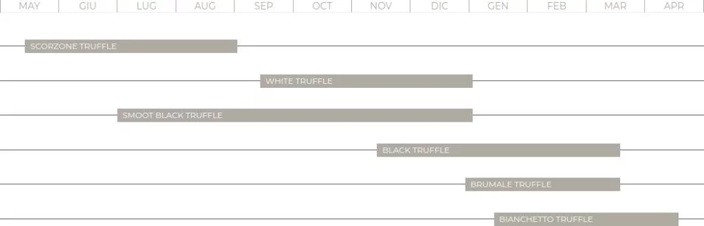 Seasonality of the truffle 1 seasonality of the truffle