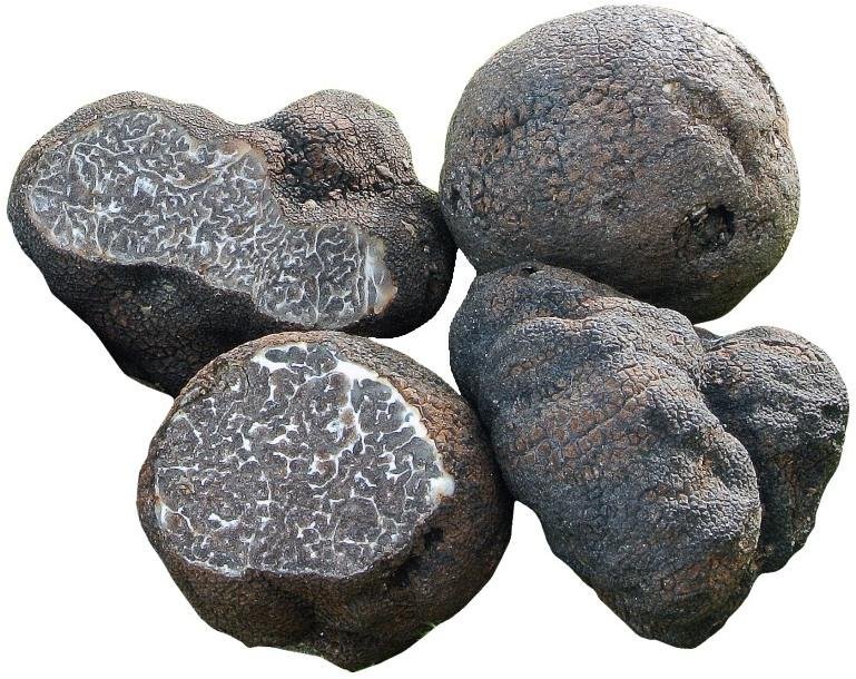 Smooth black truffle - TrufflEAT®