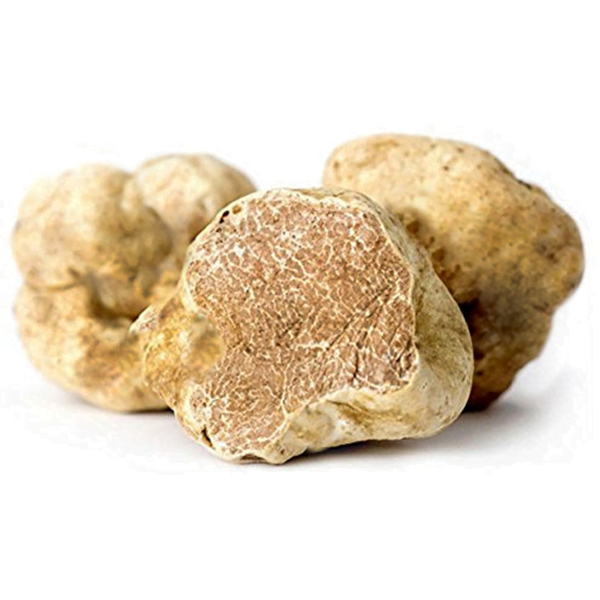 white-truffle.png